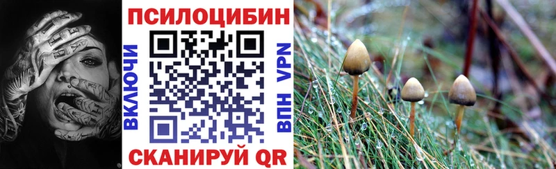 Купить  Сосновоборск  Галлюциногенные грибы MAGIC MUSHROOMS 